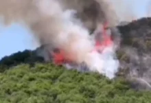 Bursa'da Yenişehirli çiftçilerden yangın seferberliği