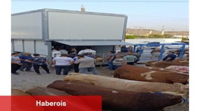 Büyükşehir'den bayramda inançlı ve hijyenik kesim hizmeti