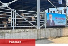 Büyükşehir'in çağdaş mezbahasında kurbanlar kesiliyor