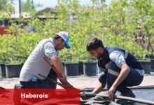 Büyükşehir'in fidanlığı Kocaeli'ni yeşillendiriyor