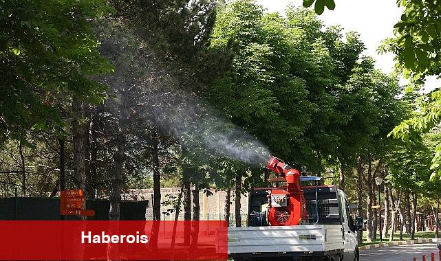Çankaya Belediyesi'nden Yaz Aylarına Özel İlaçlama - Haberois Çankaya Belediyesi'nden Yaz Aylarına Özel İlaçlama