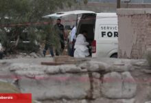 Cenaze aracından 60 mumyalanmış ceset çıktı