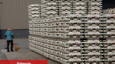 China Hongqiao payları olumlu kâr iddiasıyla rekor düzeye ulaştı