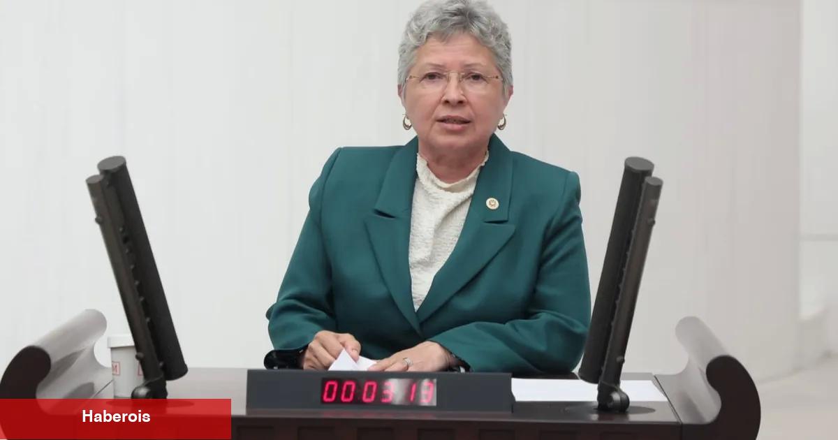 CHP’li Yontar’dan İklim Kanunu eleştirisi: Doğayı değil, sermayeyi kolluyor