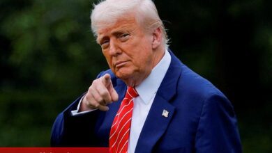 Çin az toprak elementleri tedarik edecek, Trump söylüyor