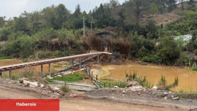 Çin, kıtlık devam ettikçe nadir toprakların sınırlı ihracatına izin veriyor