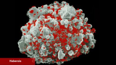 Covid çekimlerinde kullanılan mRNA, HIV vücudundan kurtulmaya yardımcı olabilir