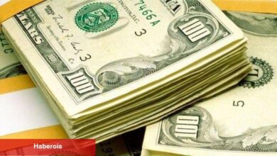 Dolarda yüzde 10 düşüş beklentisi
