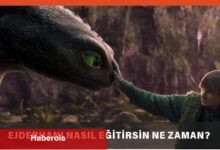 Ejderhanı Nasıl Eğitirsin Ne Vakit Çıkacak?