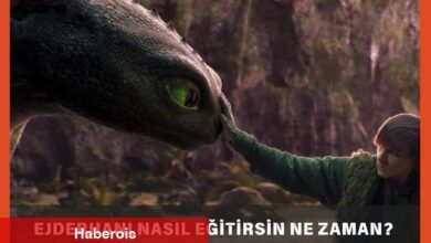 Ejderhanı Nasıl Eğitirsin Ne Vakit Çıkacak?