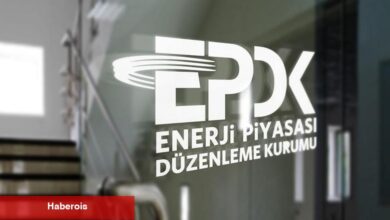 EPDK'dan 12 şirkete lisans