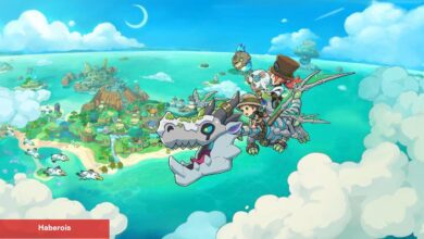 FANTASY LIFE i: The Girl Who Steals Time, 800.000 Kopya Sattı