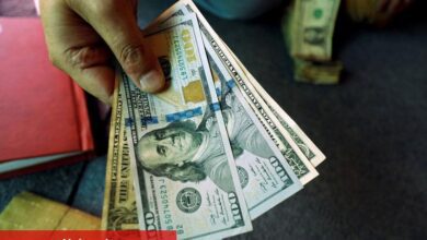 Fazla ABD doları nakdine sahip olunca ne yapmalı?