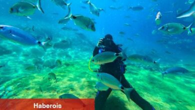 Fethiye'nin su altı dünyası dalış tutkunlarını ağırlıyor