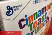 General Mills kâr görünümü gerçekçi kabul edilerek yükseltildi; evcil hayvan yemi lansmanı artı