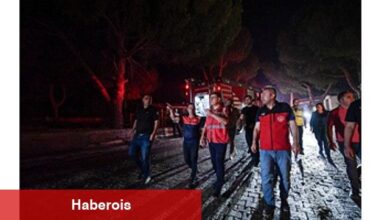 Gruplar Doğanbey'de yerleşim yerlerindeki yangını denetim altına aldı