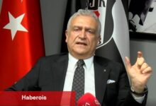 Hakan Daltaban: "Dikilitaş projesi bir reçete olabilir"