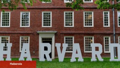 Harvard, hükümet finansmanının savurgan olduğunu savunuyor