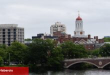 Harvard, Yargıçtan Trump'ın yabancı öğrencileri engelleyen emrini engellemesini ister