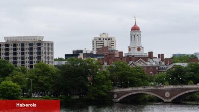 Harvard, Yargıçtan Trump'ın yabancı öğrencileri engelleyen emrini engellemesini ister