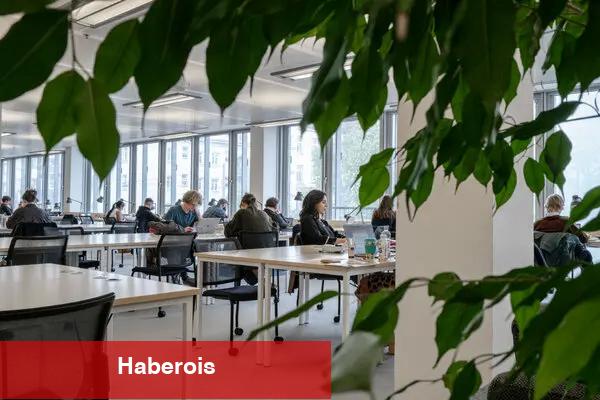 Harvard'ın savaşı, sürgüne zorlanan bir üniversiteye aşinadır