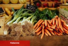 Havucun Yararları Nelerdir?