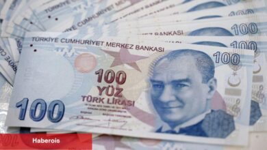 Hazine ve Maliye Bakanlığı'ndan temettü gelirlerine inceleme