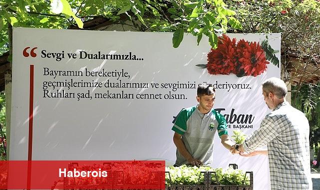 İnegöl Belediyesi Mezarlıklarda 9 Bin Adet Çiçek Dağıttı - Haberois İnegöl Belediyesi Mezarlıklarda 9 Bin Adet Çiçek Dağıttı
