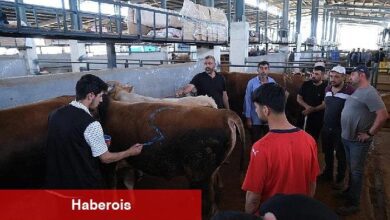 İnegöl Çağdaş Hayvan Pazarı Beşinci Defa Bayram Sevinci Yaşattı