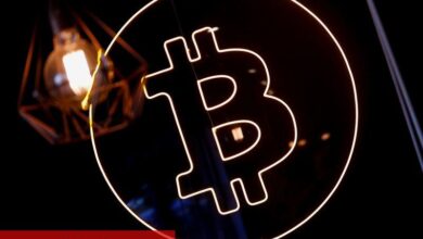 İpek Yolu’nun kurucusu Ulbricht 300 BTC bağış aldı
