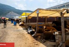 İzmir Bornova'da Kurban Pazarı kapılarını açtı