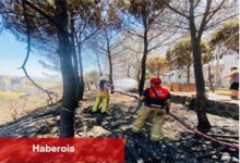 İzmir İtfaiyesi 48 saatte 227 yangına müdahale etti