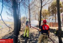 İzmir İtfaiyesi 48 saatte 227 yangına müdahale etti