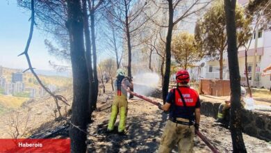 İzmir İtfaiyesi 48 saatte 227 yangına müdahale etti