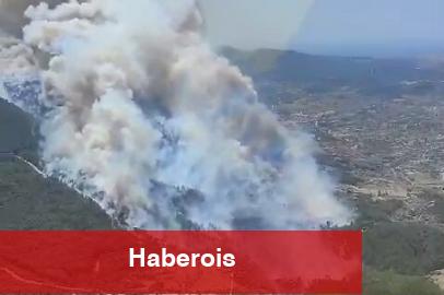 İzmir Menderes’te orman yangını... Havadan ve karadan müdahale sürüyor