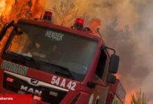 Jandarma’dan orman yangınlarına ait soruşturma: 11 gözaltı!