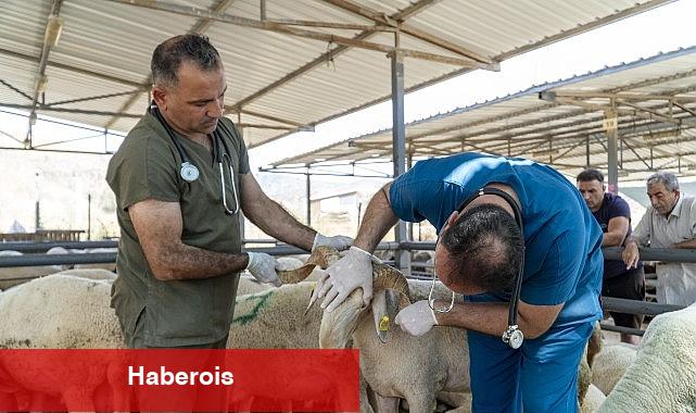 Karşıyaka, Kurban Bayramı'na hazır! - Haberois Karşıyaka, Kurban Bayramı'na hazır!