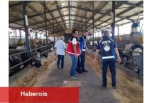 Kartepe'de Kurban Kesim Yerleri Denetleniyor