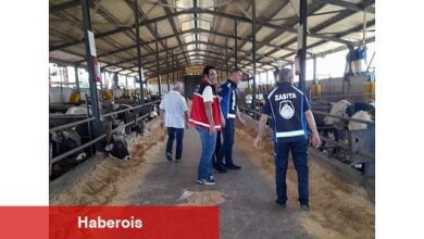 Kartepe'de Kurban Kesim Yerleri Denetleniyor