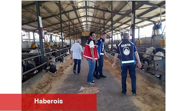 Kartepe'de Kurban Kesim Yerleri Denetleniyor