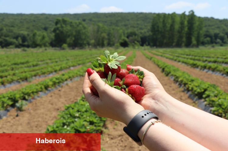 Kocaeli İzmit’te genç girişimcilere dayanak - Haberois Kocaeli İzmit’te genç girişimcilere dayanak