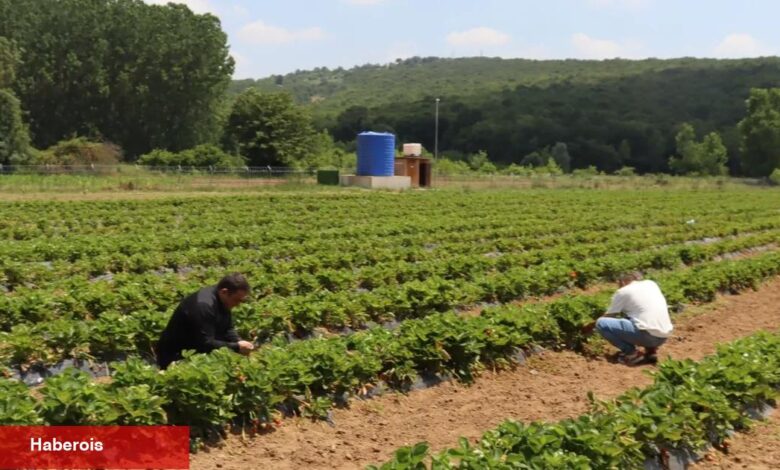 Kocaeli İzmit’te genç girişimcilere dayanak - Haberois Kocaeli İzmit’te genç girişimcilere dayanak