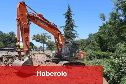 Kocaeli'de sökülen ağaçlar geleceğe taşınıyor