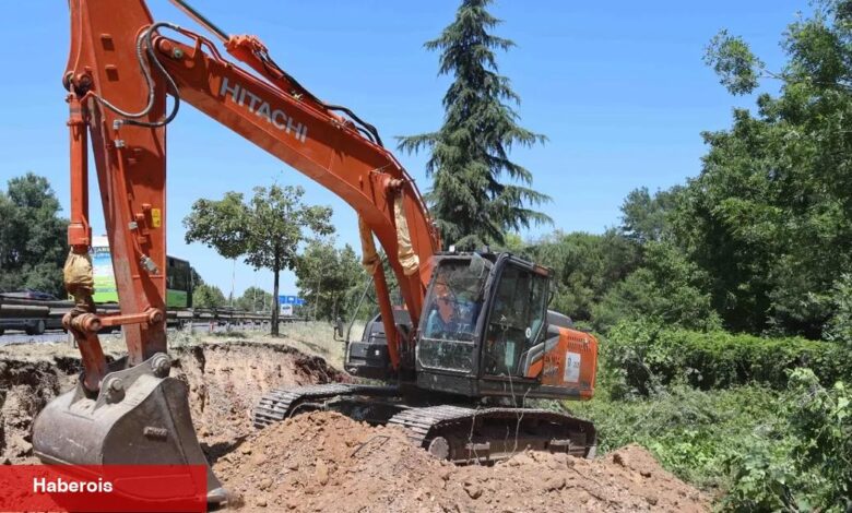 Kocaeli'de sökülen ağaçlar geleceğe taşınıyor - Haberois Kocaeli'de sökülen ağaçlar geleceğe taşınıyor
