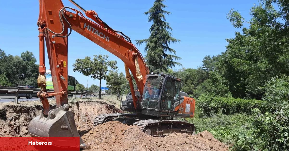 Kocaeli'de sökülen ağaçlar geleceğe taşınıyor