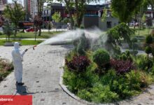 Konya'da yeşil alanları ilaçlamaya devam