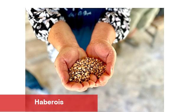 Köylünün toprağına, Urla'nın börülcesine sahip çıkıyoruz - Haberois Köylünün toprağına, Urla'nın börülcesine sahip çıkıyoruz