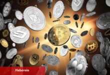 Kripto projesi Tron, 210 milyon dolarlık TRX pay yatırımıyla halka arz planlıyor