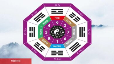 KUA ile hayat gücünüzü yönetin! - Haberois KUA ile hayat gücünüzü yönetin!