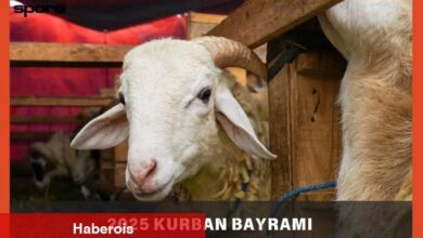 Kurban eti kavurması nasıl yapılır 2025? En yeterli Kavurma hangi etten yapılır?